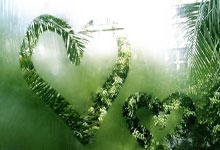 MK体育-刷新纪录引爆全场！，杜兰特意外战胜日本队气势如虹延续的简单介绍